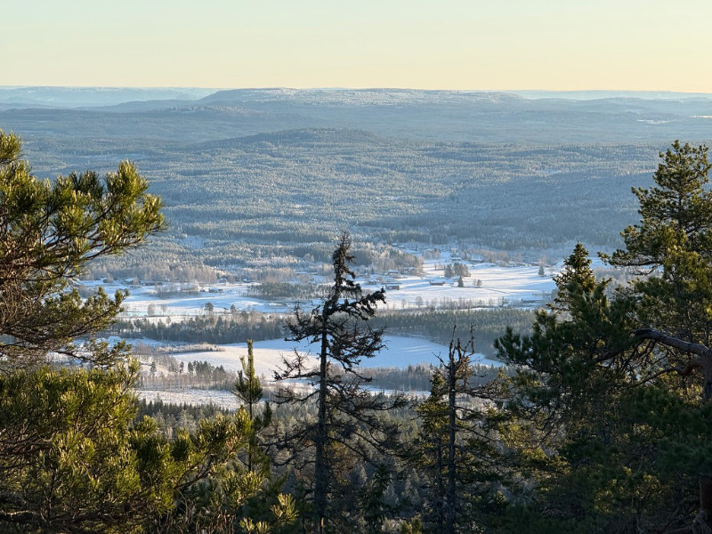 Transportroute Nederland naar Zweden
